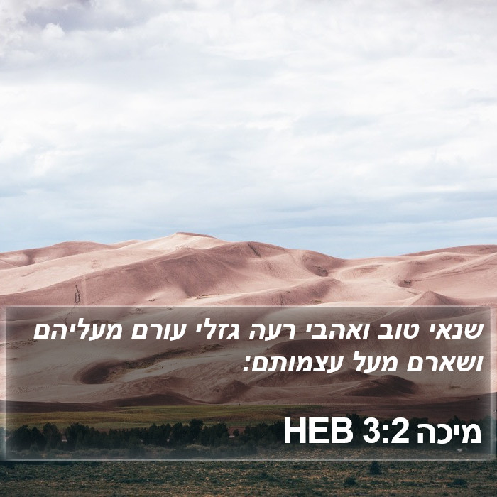 מיכה 3:2 HEB Bible Study