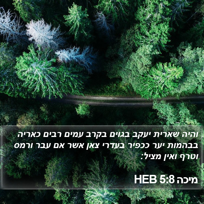 מיכה 5:8 HEB Bible Study