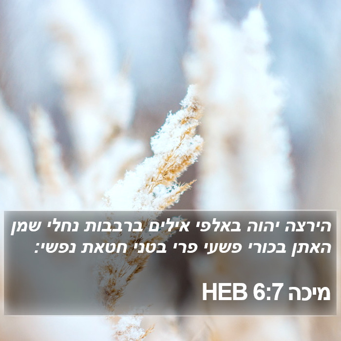 מיכה 6:7 HEB Bible Study