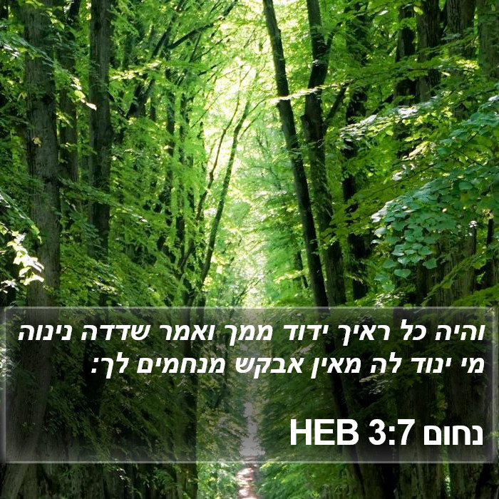 נחום 3:7 HEB Bible Study