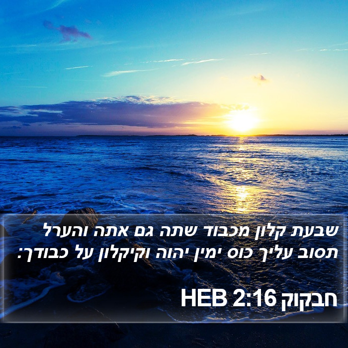 חבקוק 2:16 HEB Bible Study