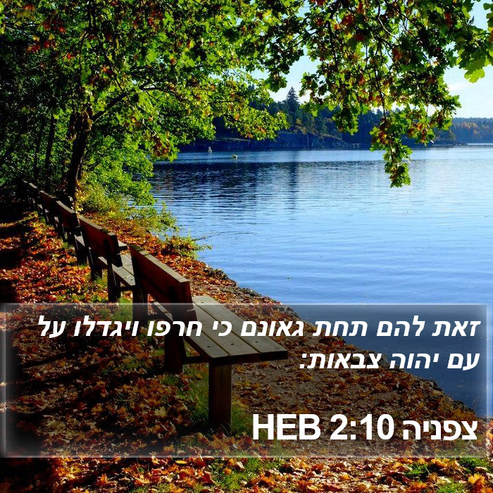 צפניה 2:10 HEB Bible Study