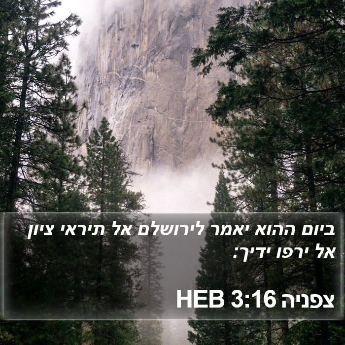 צפניה 3:16 HEB Bible Study