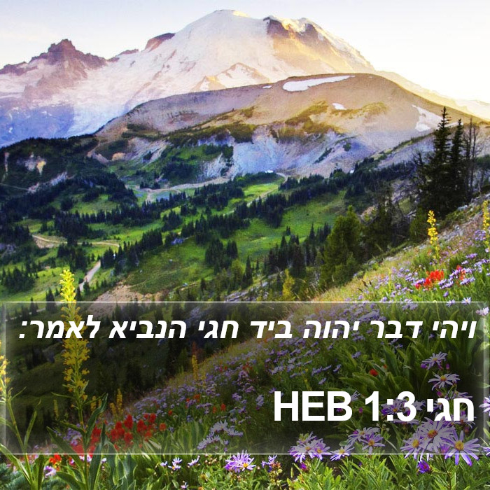 חגי 1:3 HEB Bible Study