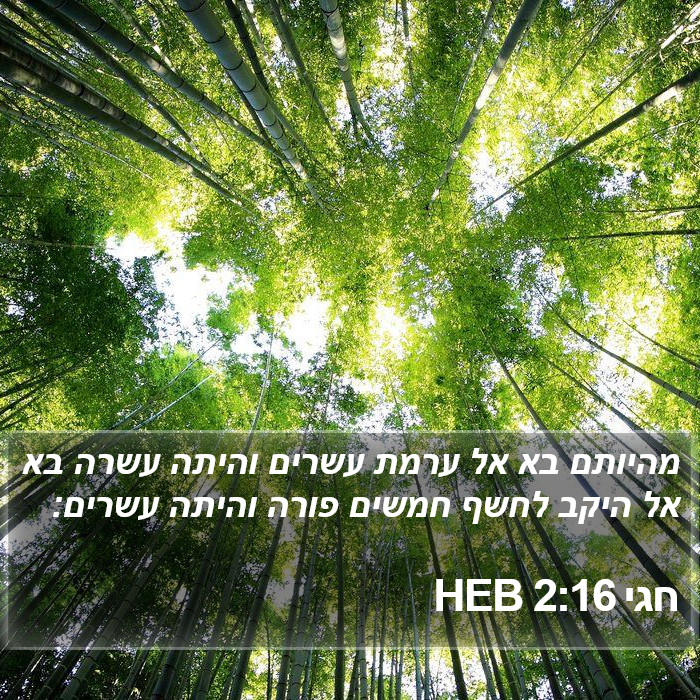 חגי 2:16 HEB Bible Study