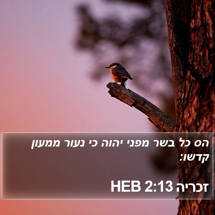 זכריה 2:13 HEB Bible Study