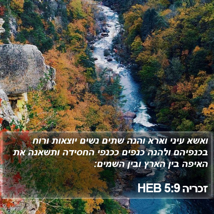 זכריה 5:9 HEB Bible Study