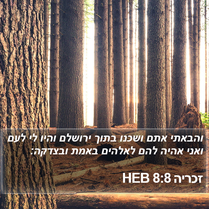 זכריה 8:8 HEB Bible Study