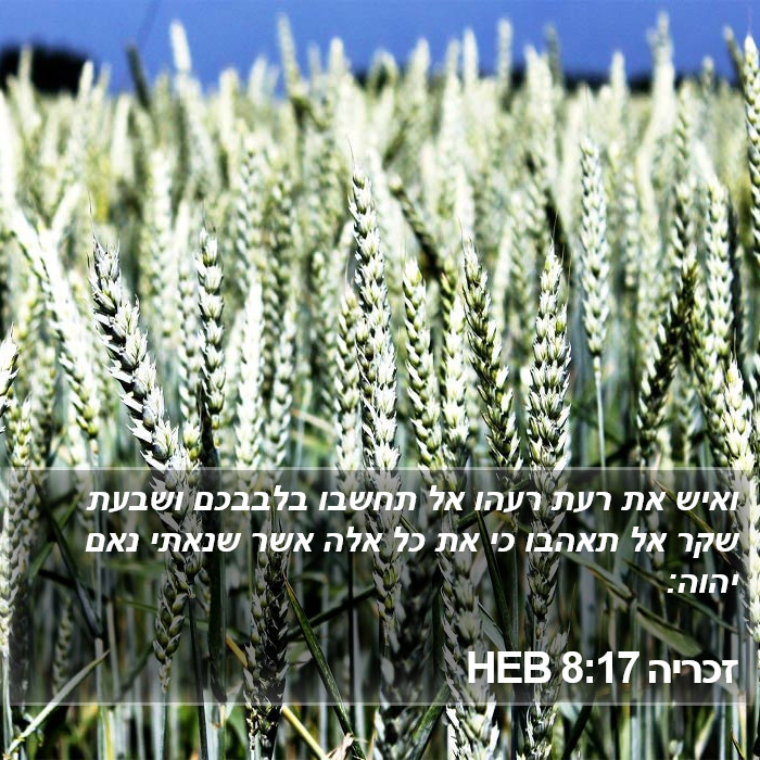 זכריה 8:17 HEB Bible Study