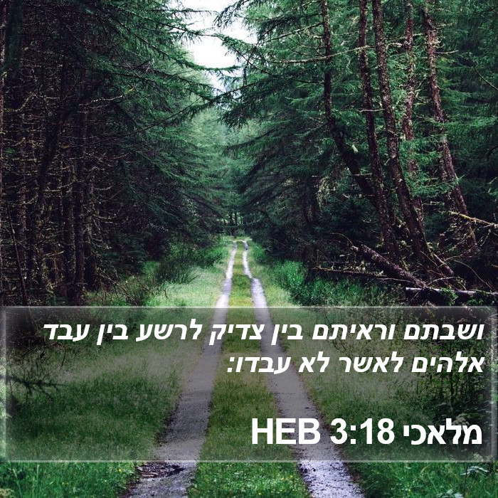 מלאכי 3:18 HEB Bible Study