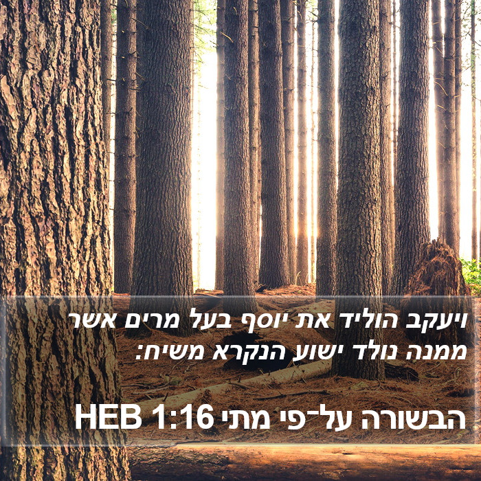 הבשורה על־פי מתי 1:16 HEB Bible Study