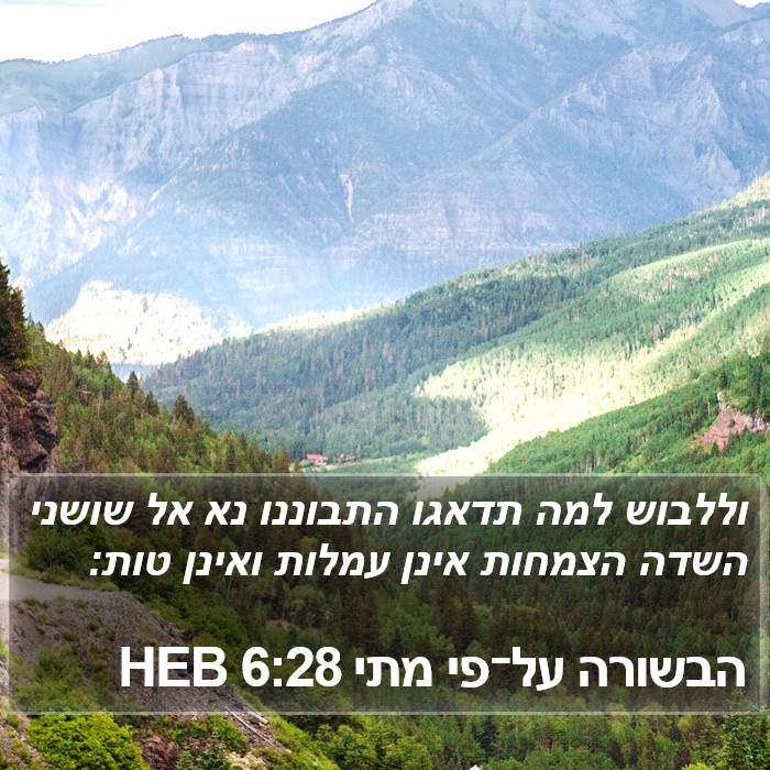 הבשורה על־פי מתי 6:28 HEB Bible Study