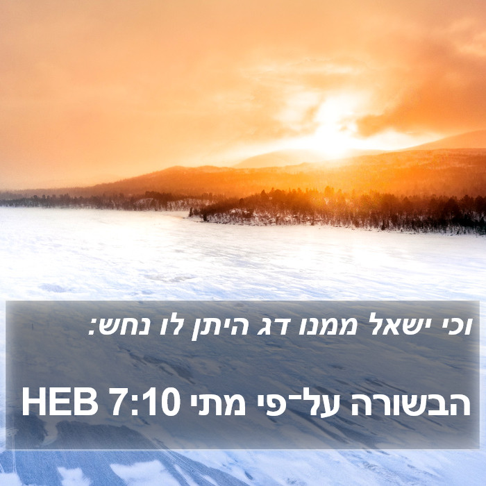 הבשורה על־פי מתי 7:10 HEB Bible Study