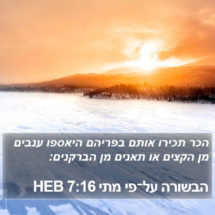 הבשורה על־פי מתי 7:16 HEB Bible Study