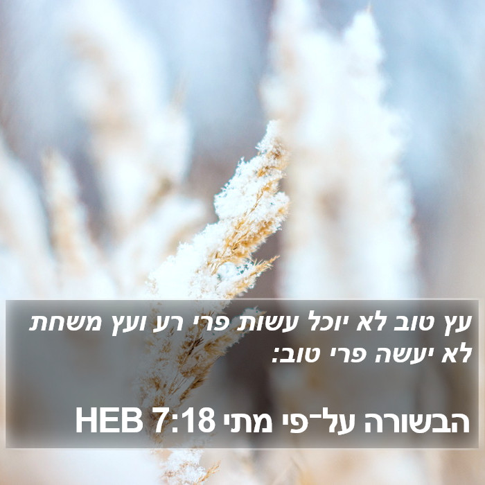 הבשורה על־פי מתי 7:18 HEB Bible Study