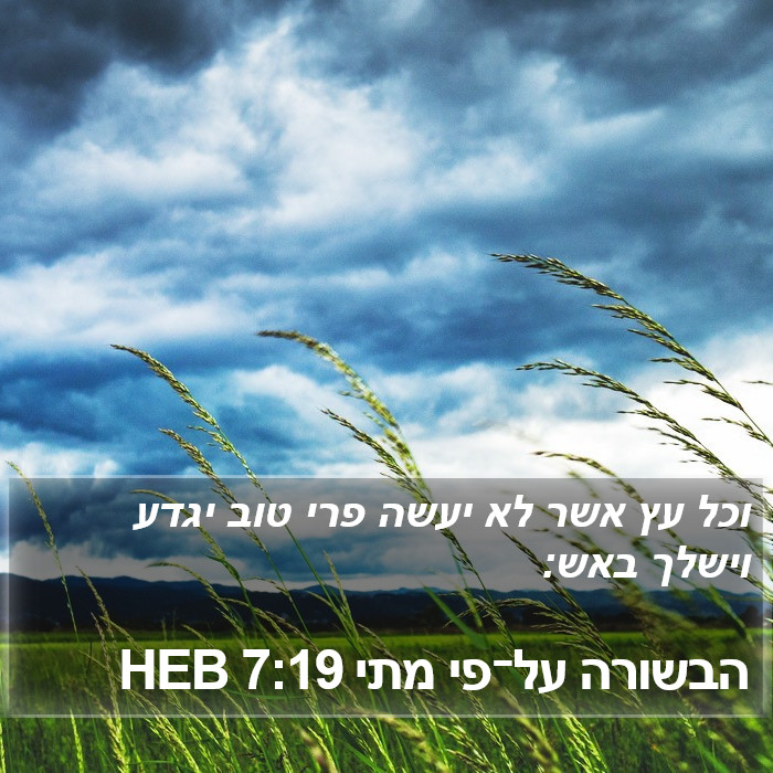 הבשורה על־פי מתי 7:19 HEB Bible Study