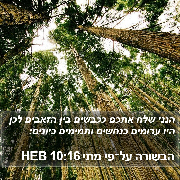 הבשורה על־פי מתי 10:16 HEB Bible Study