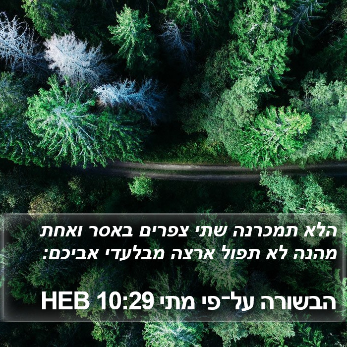 הבשורה על־פי מתי 10:29 HEB Bible Study