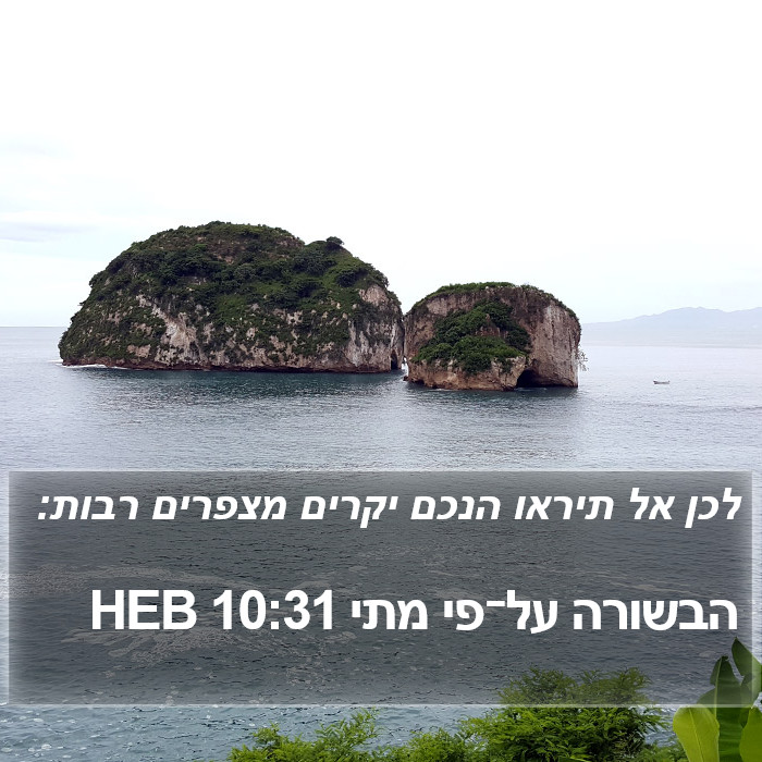 הבשורה על־פי מתי 10:31 HEB Bible Study