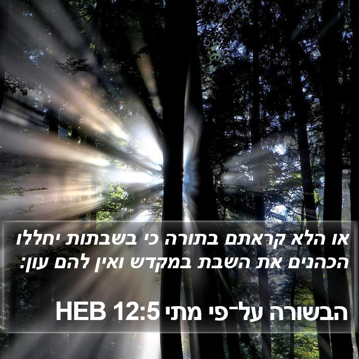 הבשורה על־פי מתי 12:5 HEB Bible Study