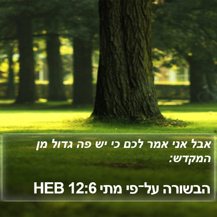 הבשורה על־פי מתי 12:6 HEB Bible Study