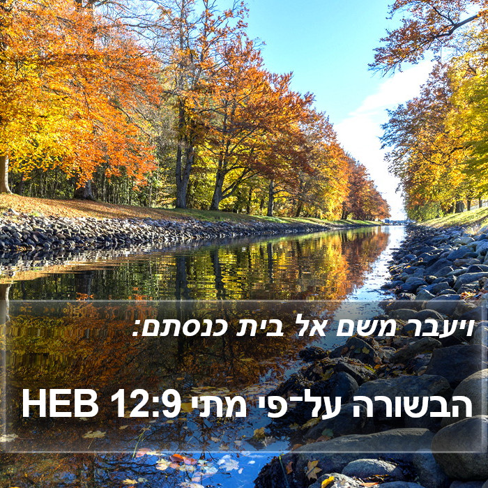 הבשורה על־פי מתי 12:9 HEB Bible Study