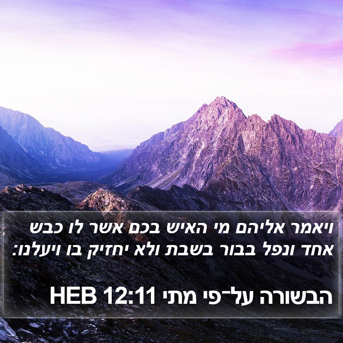 הבשורה על־פי מתי 12:11 HEB Bible Study