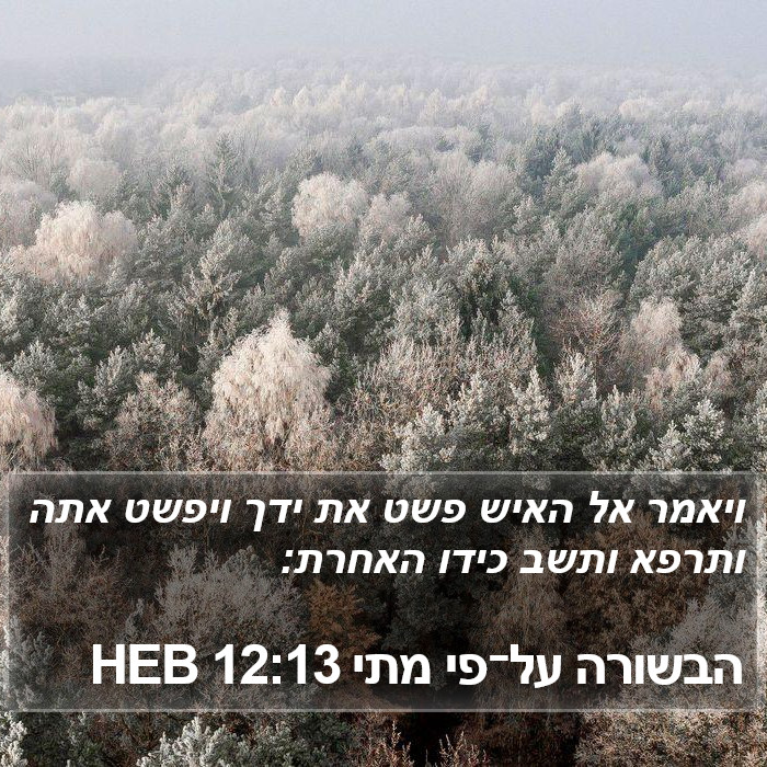 הבשורה על־פי מתי 12:13 HEB Bible Study