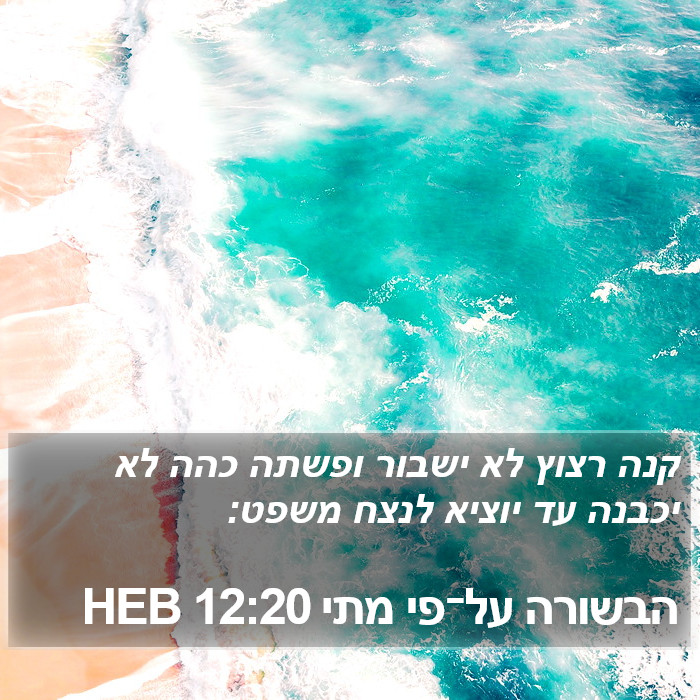 הבשורה על־פי מתי 12:20 HEB Bible Study