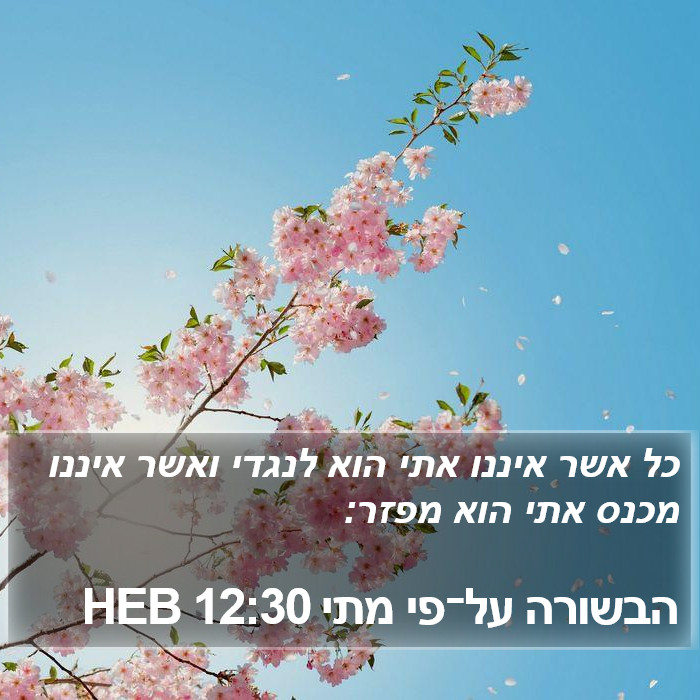 הבשורה על־פי מתי 12:30 HEB Bible Study