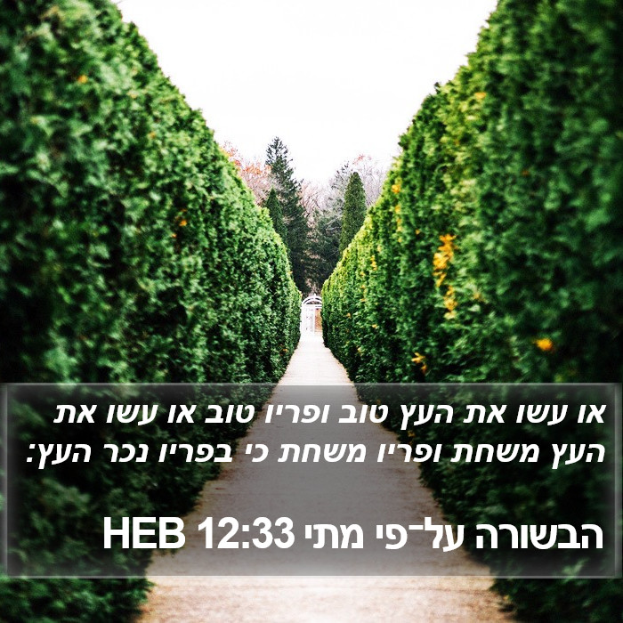 הבשורה על־פי מתי 12:33 HEB Bible Study