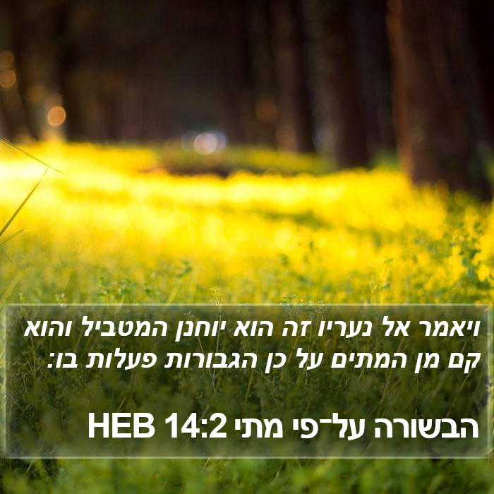 הבשורה על־פי מתי 14:2 HEB Bible Study