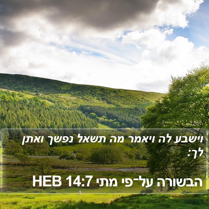 הבשורה על־פי מתי 14:7 HEB Bible Study