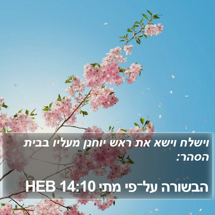 הבשורה על־פי מתי 14:10 HEB Bible Study