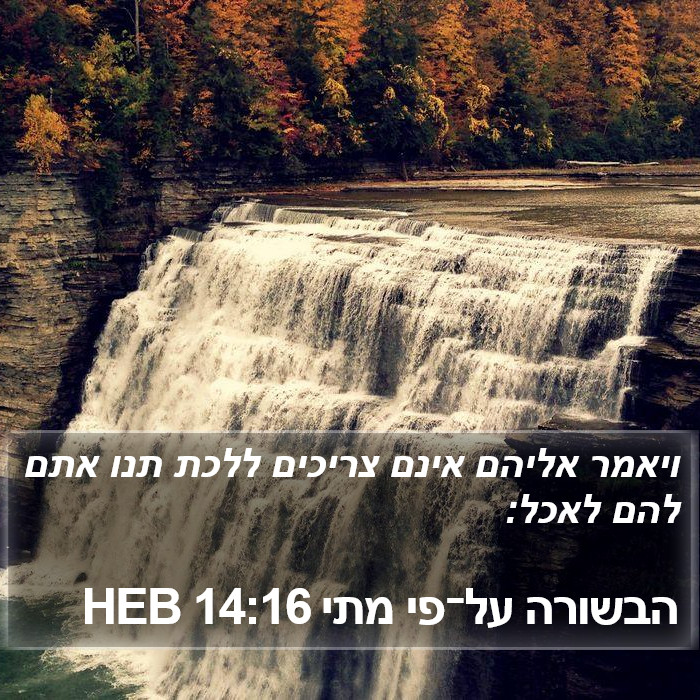 הבשורה על־פי מתי 14:16 HEB Bible Study