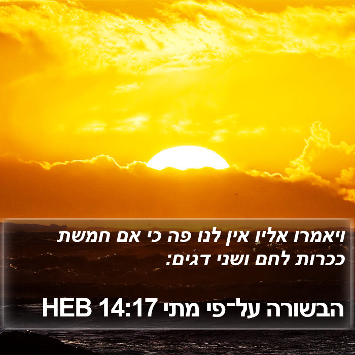 הבשורה על־פי מתי 14:17 HEB Bible Study