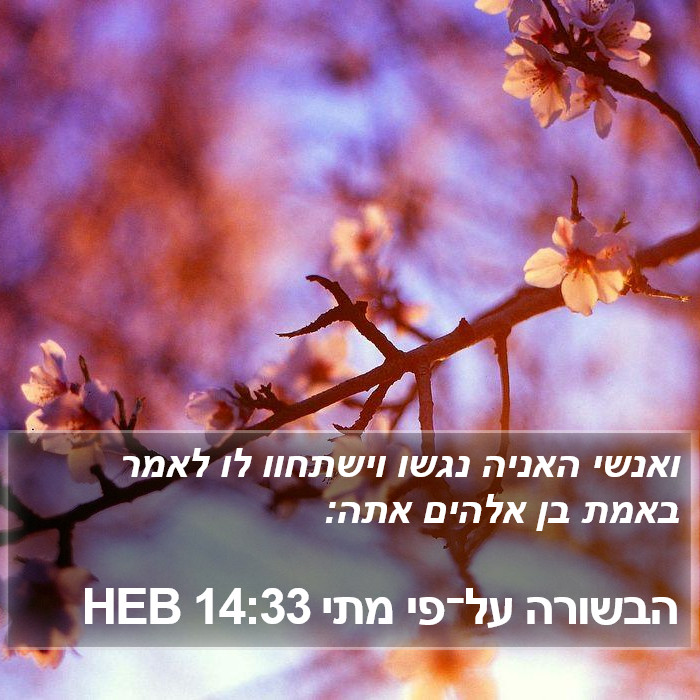 הבשורה על־פי מתי 14:33 HEB Bible Study