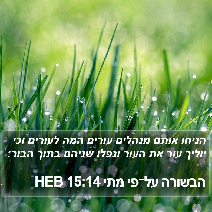 הבשורה על־פי מתי 15:14 HEB Bible Study