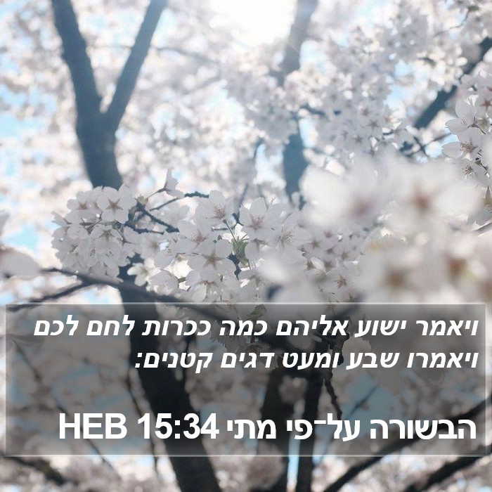 הבשורה על־פי מתי 15:34 HEB Bible Study