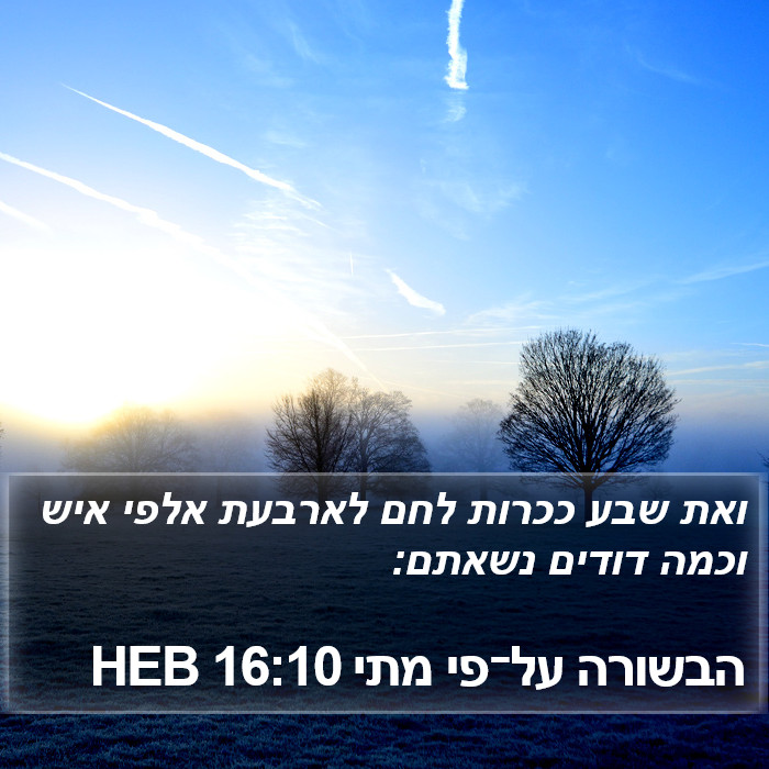 הבשורה על־פי מתי 16:10 HEB Bible Study