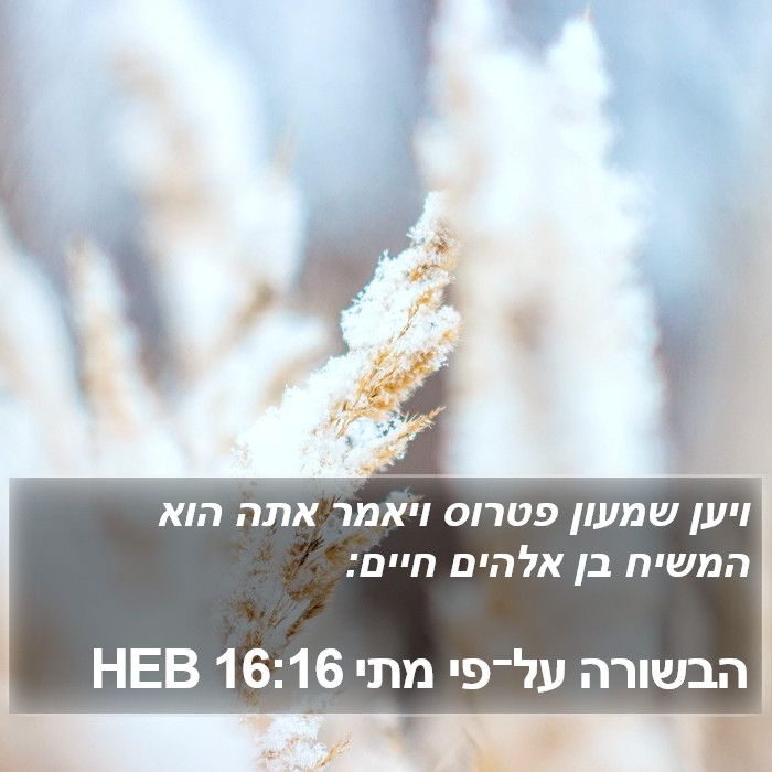 הבשורה על־פי מתי 16:16 HEB Bible Study