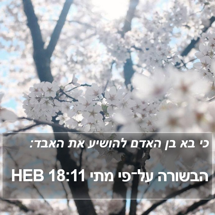 הבשורה על־פי מתי 18:11 HEB Bible Study