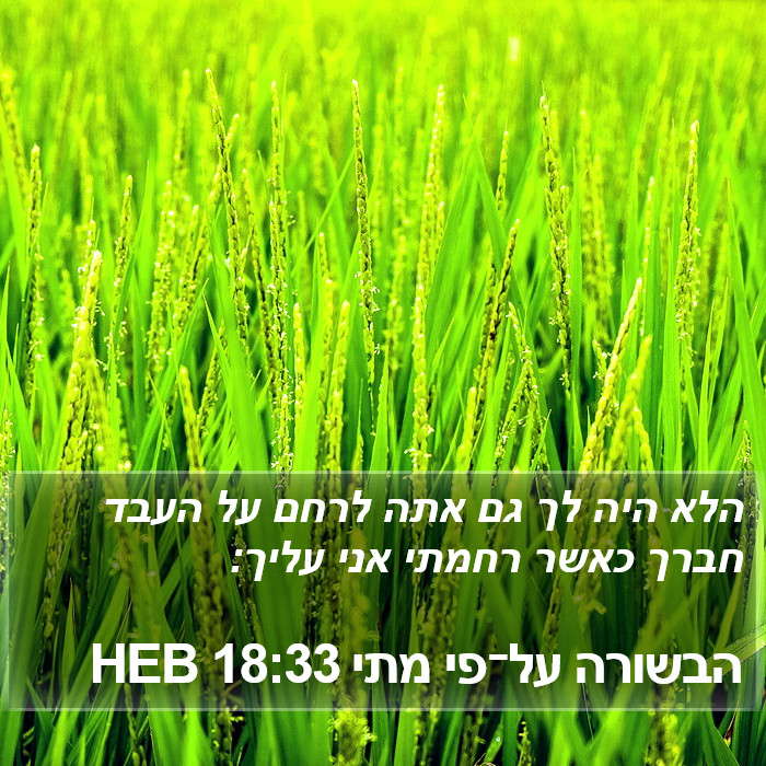 הבשורה על־פי מתי 18:33 HEB Bible Study