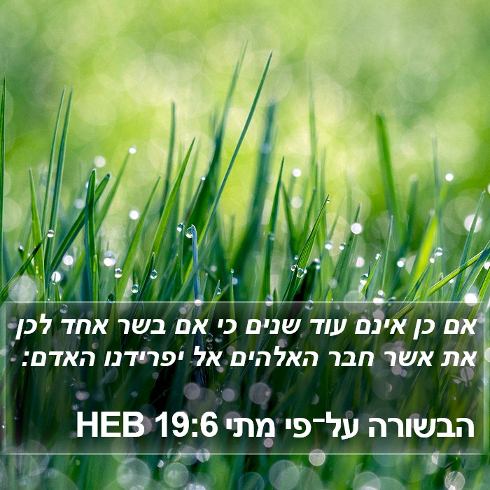 הבשורה על־פי מתי 19:6 HEB Bible Study