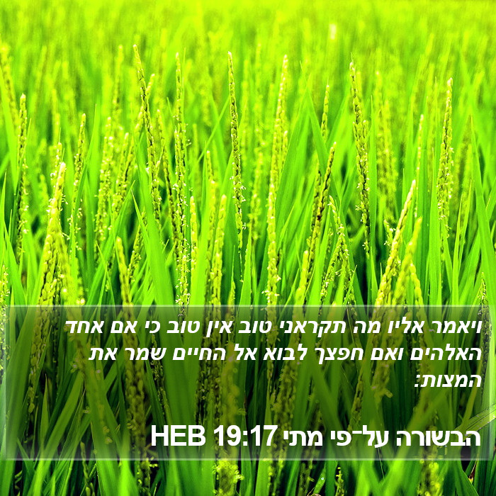 הבשורה על־פי מתי 19:17 HEB Bible Study