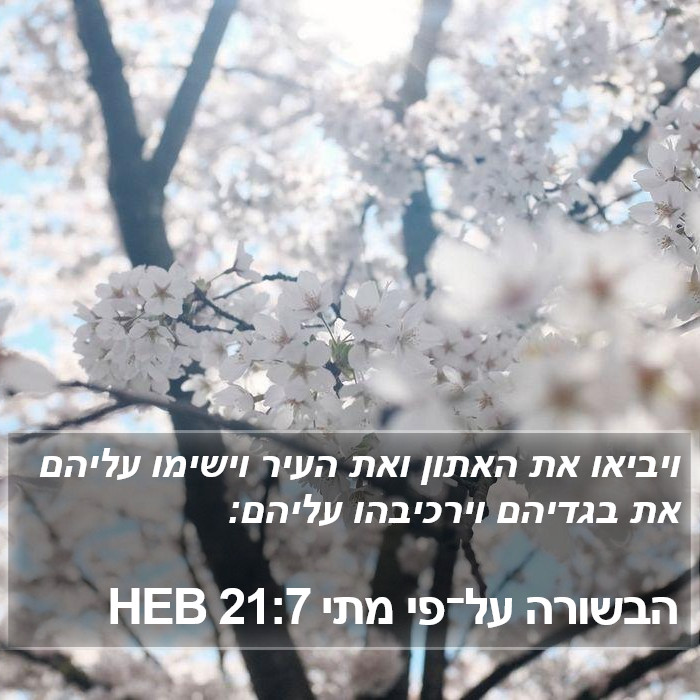 הבשורה על־פי מתי 21:7 HEB Bible Study