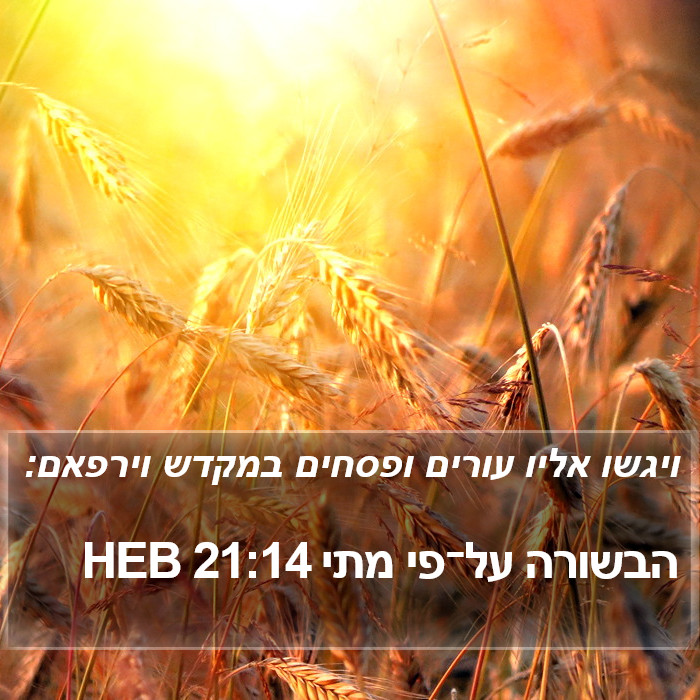 הבשורה על־פי מתי 21:14 HEB Bible Study