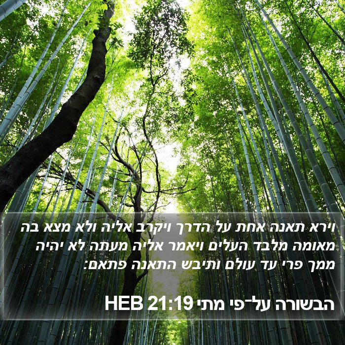 הבשורה על־פי מתי 21:19 HEB Bible Study