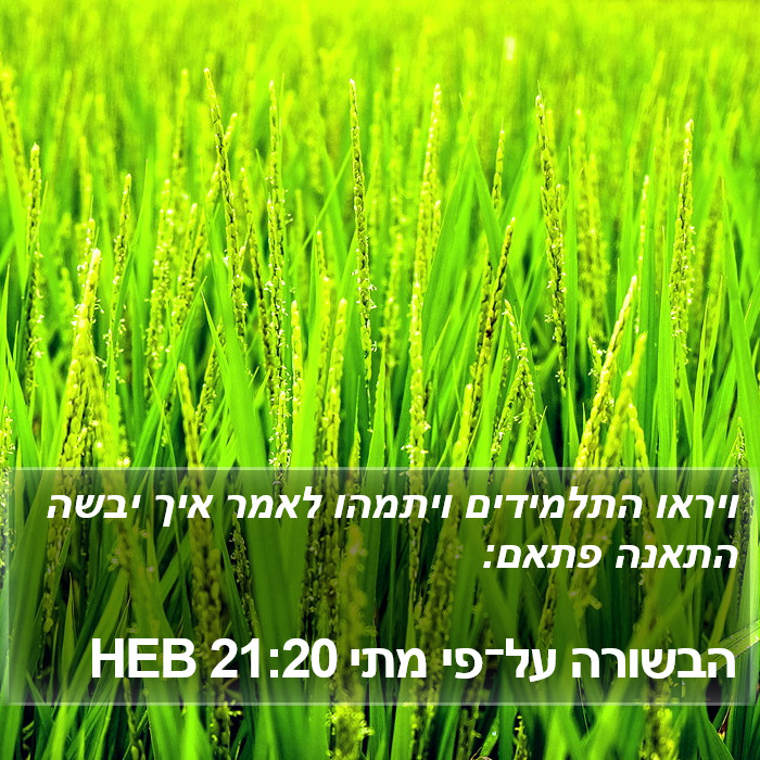 הבשורה על־פי מתי 21:20 HEB Bible Study