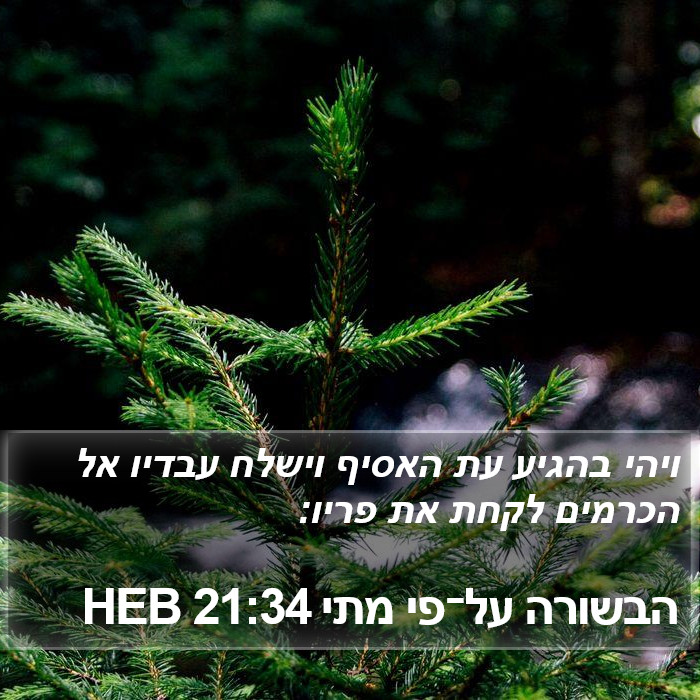 הבשורה על־פי מתי 21:34 HEB Bible Study